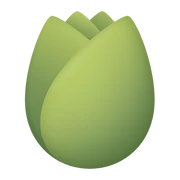 Logo NOORY