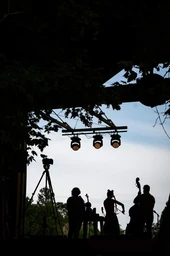 Logo BLUEGRASS