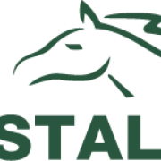 Logo Stal Heifort