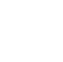 Logo WHITE TAXI