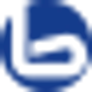 Logo BORLIX
