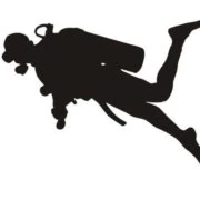 Logo NÉRÉE