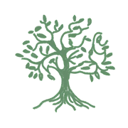 Logo HRN THERAPY