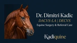 Logo KADIQUINE