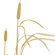 Logo RIETDEKKERSBEDRIJF CORNE DAEMEN B.V.