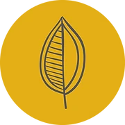 Logo De la Vie dans ma Cuisine