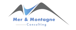 Logo 2M CONSULTING