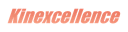 Logo KINEXCELLENCE
