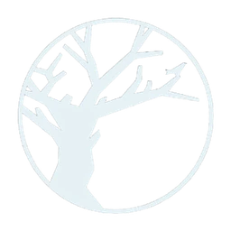 Logo Backyard Festival VZW