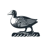 Logo Ballyfin