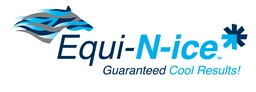 Logo Equinice