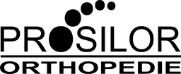 Logo PROSILOR