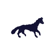 Logo Aula Antwerp Development