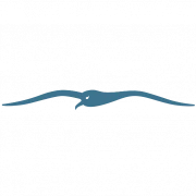 Logo GROEP G