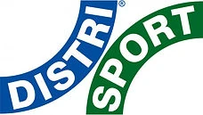 Logo DSI