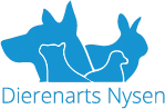 Logo NYSEN