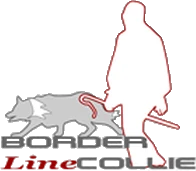 Logo BorderlineCollie