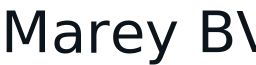 Logo MAREY