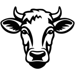 Logo JEROEN NAERT