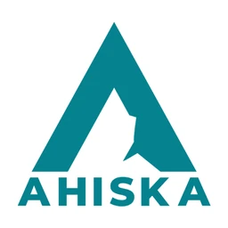 Logo OZDEMIR Holding