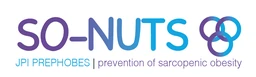 Logo So Nuts
