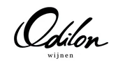 Logo ODILON