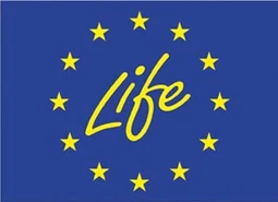 Logo Life & Dream
