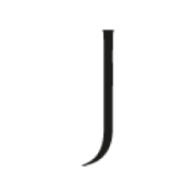 Logo JANU