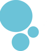 Logo BLUESALT HR