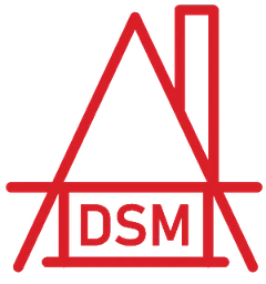 Logo DSM Team