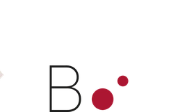 Logo Bo.TiC