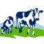 Logo VACHE BLEUE