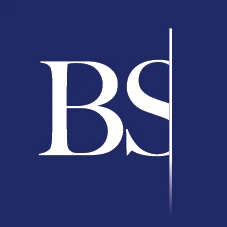 Logo BS FinControl