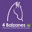Logo 4 BALZANES