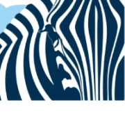 Logo Code Zebra