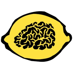 Logo BRAINSOLUTIONS