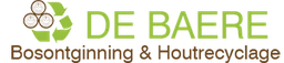 Logo DE BAERE BOSONTGINNING