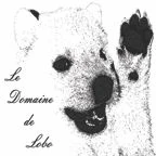 Logo Le Domaine de Lobo