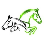 Logo Auction Antwerp