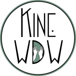 Logo Kinesitherapie Wouter De Wagter