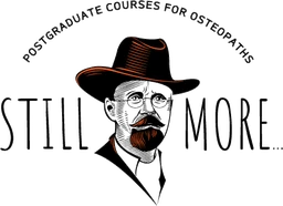 Logo STILL MORE