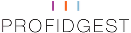 Logo PROFIDGEST