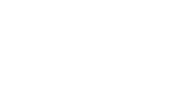 Logo TRITON PROJECTS