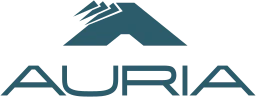Logo AURIA SOLUTIONS GMBH
