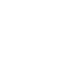 Logo TRANSIMPEX
