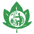 Logo BOOMKWEKERIJ SCHEPERS