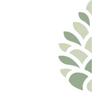 Logo LIVERSA