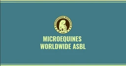 Logo MICROEQUINES WORLDWIDE ASBL