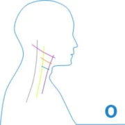 Logo OSTEOVOX