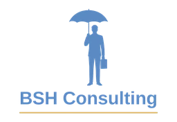 Logo BSH Consulting